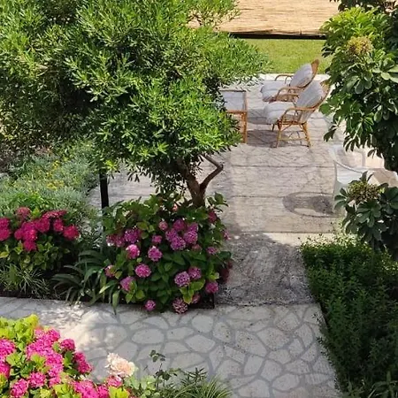 Alcyon Days Apartment Agios Georgios  Exterior photo