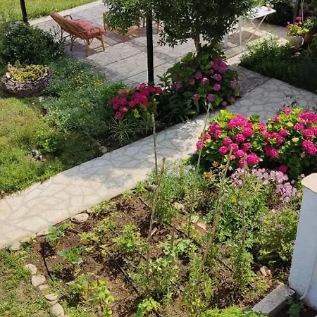 Alcyon Days Apartment Agios Georgios  Exterior photo